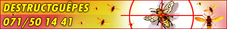 DESTRUCTGUEPES - 7 jours sur 7, en cas de problèmes de guêpes, abeilles, frelons, et autres insectes, contactez-nous !